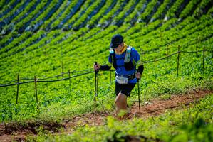 BIB: 
                            <button type="button" onclick="openModal(19162471)" class="btn btn-primary btn-sm float-right btn-popup" data-toggle="modal" data-target=".modal-high-quality">
                        <i class="fas fa-shopping-cart"></i> Add to Cart
                    </button>
                                            <button type="button" onclick="isThisMe(19162471, true)" class="btn btn-success btn-sm float-right btn-popup btn-isme hidden" data-toggle="tooltip" data-placement="bottom" title="นี่คือรูปของคุณใช่ไหม คลิกที่นี่เพื่อเอาเข้าอัลบั้ม">
                        <i class="fas fa-plus"></i> Add to album
                    </button>
                    <button type="button" onclick="isThisMe(19162471, false)" class="btn btn-warning btn-sm float-right btn-popup btn-isnotme hidden">
                        <i class="fas fa-ban"></i> Remove from album
                    </button>